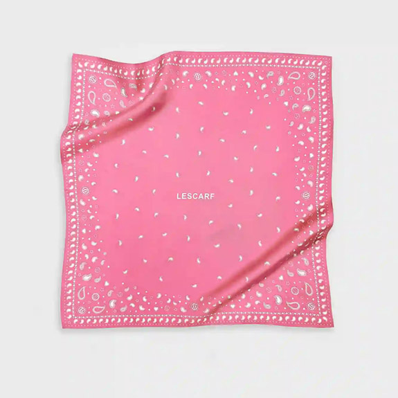 Paisley Scarf Pink White LESCARF