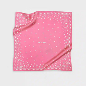 paisley-scarf-pink-white-lescarf.jpg