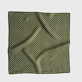 polkadot-scarf-olive-green-50-cm-lescarf.jpg