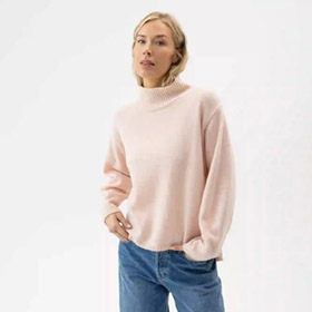 veronica-turtle-flamingo-holebrook.jpg